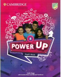 Power Up. Level 5. Pupil's Book