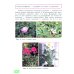 Технология. Цветоводство и декоративное садоводство. 6 класс. Учебник. ФГОС ОВЗ