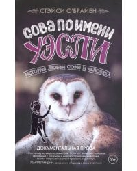 Сова по имени Уэсли. История любви совы и человека