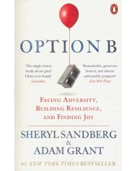 Option B. Facing Adversity, Building Resilience, and Finding Joy