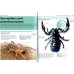 Insects. Facts at Your Fingertips