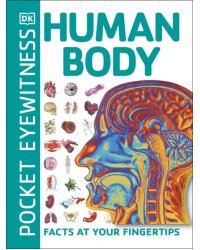 Human Body. Facts at Your Fingertips