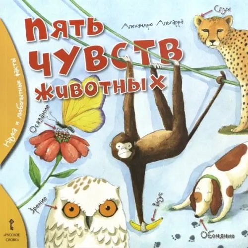 Пять чувств животных