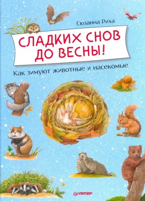 Сладких снов до весны! Как зимуют животные и насекомые