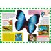 Бабочки. Первая энциклопедия для детей