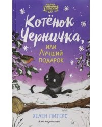 Котёнок Черничка, или Лучший подарок (#4)