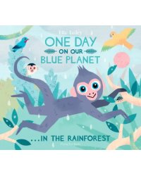 One Day on Our Blue Planet… In the Rainforest