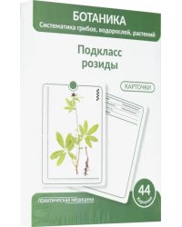 Ботаника. Систематика грибов, водорослей, растений. Подкласс розиды. 44 карточки