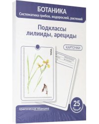 Ботаника. Систематика грибов, водорослей, растений. Подклассы лилииды, арециды. 25 карточек