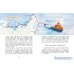Арктика. Ледяная шапка Земли