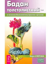 Бадан толстолистный - в лечении болезней внутренних органов