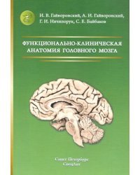 Функционально-клиническая анатомия головного мозга