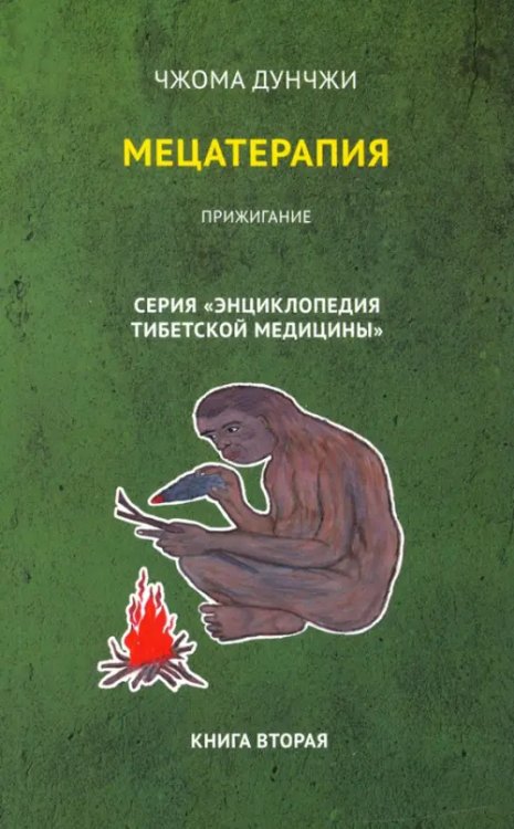 Мецатерапия. Прижигание. Книга 2