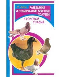 Разведение и содержание мясных голубей в родовой усадьбе