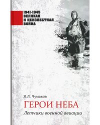 Герои неба. Летчики военной авиации