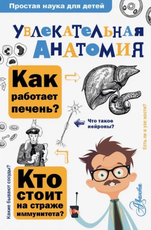 Увлекательная анатомия