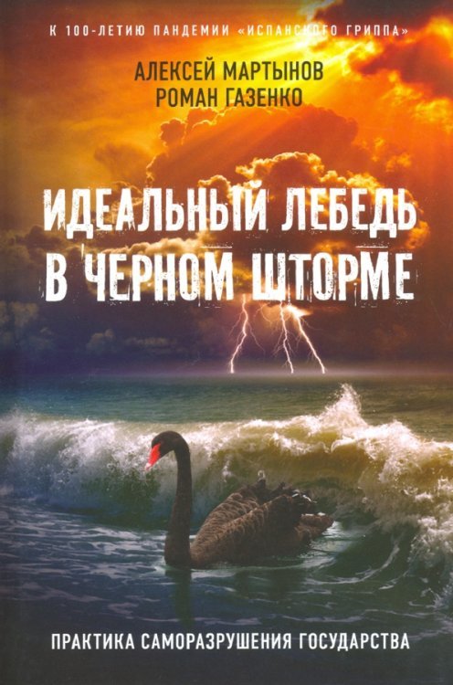 Идеальный лебедь в черном шторме. Практика саморазрушения государства