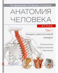 Анатомия человека. Атлас. В 3-х томах. Том 1. Опорно-двигательный аппарат