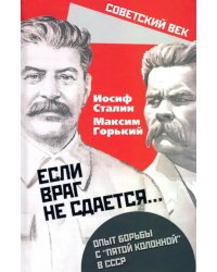 «Если враг не сдается». Опыт борьбы с «5 колонной»