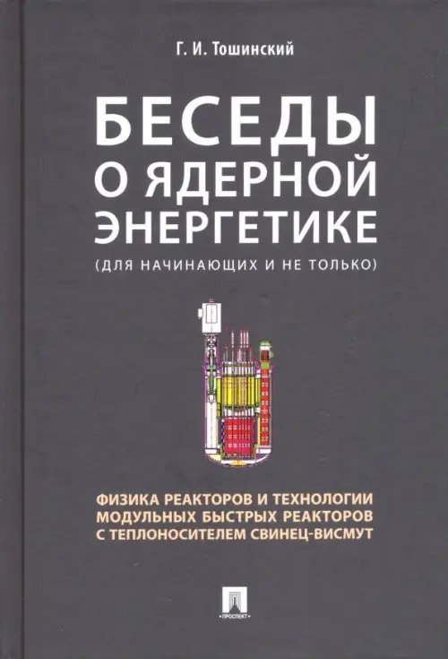 Беседы о ядерной энергетике, физике реакторов и технологии модульных быстрых реакторов с теплоносителем свинец-висмут