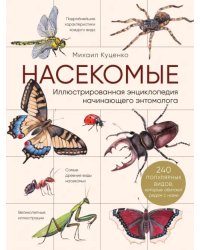 Насекомые. Иллюстрированная энциклопедия начинающего энтомолога. 240 популярных видов
