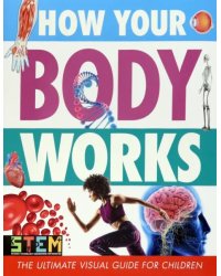 How Your Body Works. The Ultimate Visual Guide for Children