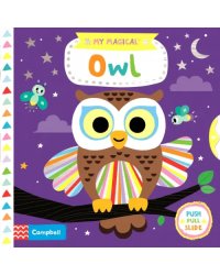 My Magical Owl