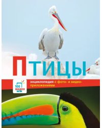 Птицы