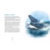 Синий кит. Невероятная история самого крупного животного всех времен