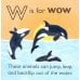 W is for Whale. Board Book