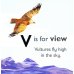 V is for Vulture. Board Book