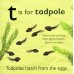T is for Toad. Board Book