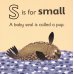 S is for Seal. Board Book