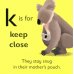 K is for Koala. Board Book