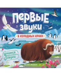 В холодных краях. Книжка-гармошка