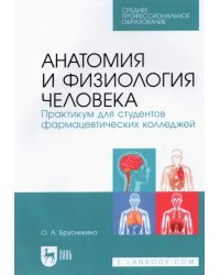 Анатомия и физиология человека. Практикум для студентов фармацевтических колледжей