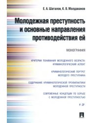 Молодежная преступность и основные направления противодействия ей. Монография