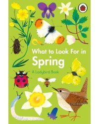 What to Look For in Spring