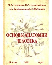 Основы анатомии человека. Учебное пособие