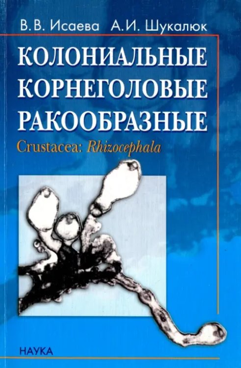 Колониальные корнеголовые ракообразные. Бесполое размножение, стволовые клетки