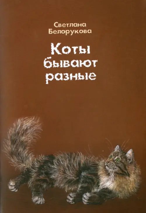 Коты бывают разные