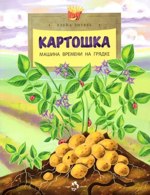 Картошка. Машина времени на грядке