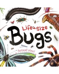 Life-size. Bugs