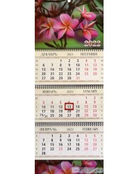Календарь квартальный &quot;Тропический цветок&quot;, на 2022 год (КВК-3)