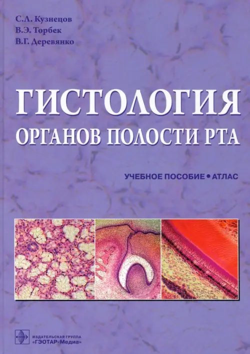 Гистология органов полости рта. Учебное пособие. Атлас