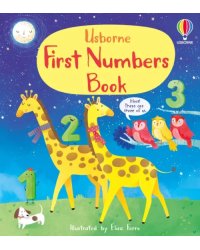 First Numbers Book. Board book