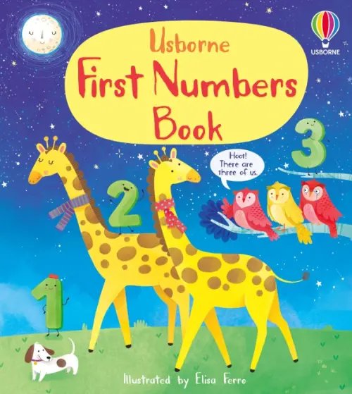 First Numbers Book. Board book