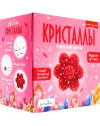 Набор для экспериментов. Фигурный кристалл. Цветок красный