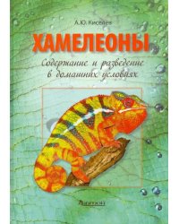 Хамелеоны. Содержание и разведение в домашних условиях