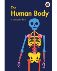A Ladybird Book: The Human Body